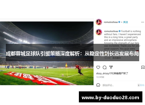 成都蓉城足球队引援策略深度解析：从稳定性到长远发展布局