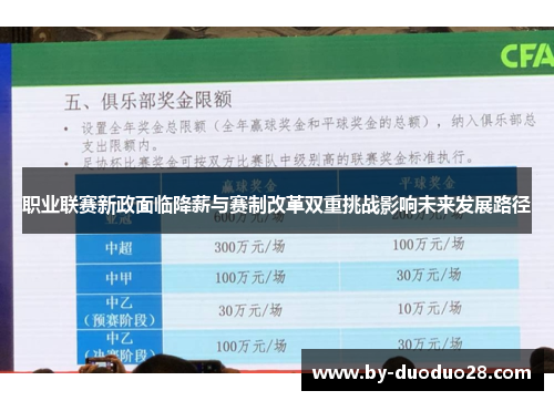 职业联赛新政面临降薪与赛制改革双重挑战影响未来发展路径