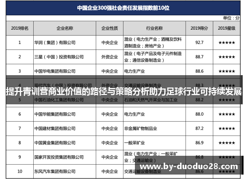 提升青训营商业价值的路径与策略分析助力足球行业可持续发展